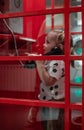 The little girl is talking on the phone in a red telephone booth Child girl neatly holds in her hand the receiver in a