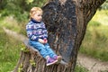 A little girl toddler is sitting on a stump in a spring park. Walk Royalty Free Stock Photo