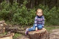 A little girl toddler is sitting on a stump in a spring park. Walk Royalty Free Stock Photo