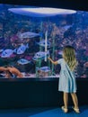 Little girl touches the glass of a large aquarium with floating fish with her hands Royalty Free Stock Photo