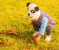 Little girl touches mushroom Royalty Free Stock Photo