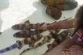 Girl Pets Shark. Brown - Banded Bamboo Sharks at Sea World San Diego California