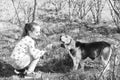 Little girl train dog on summer nature. Child play with pet friend on sunny day. Kid with beagle on fresh air outdoor