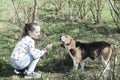 Little girl train dog on summer nature. Child play with pet friend on sunny day. Kid with beagle on fresh air outdoor