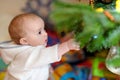 Little girl trimming a Christmas tree