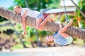 Adorable little girls at tropical beach having fun on palm tree during summer vacation. Kids enjoy their vacation like Royalty Free Stock Photo