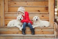 A little girl with two puppy Golden Retriever. Royalty Free Stock Photo