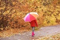 Little girl with umbrella taking walk in autumn park