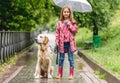 Little girl walking dog in rainy park Royalty Free Stock Photo