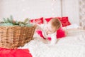 A little girl under one year old in an airy dress on a large bed in a room decorated for Christmas Royalty Free Stock Photo