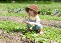 Little girl in vegetable patch Royalty Free Stock Photo