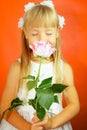 Little girl is very happy with the gift of flower. Pink rose in the hands of a girl. Birthday, holiday. Red background Royalty Free Stock Photo