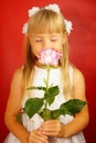 Little girl is very happy with the gift of flower. Pink rose in the hands of a girl. Birthday, holiday. Red background Royalty Free Stock Photo