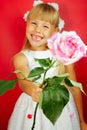 Little girl is very happy with the gift of flower. Pink rose in the hands of a girl. Birthday, holiday. Red background Royalty Free Stock Photo