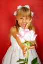 Little girl is very happy with the gift of flower. Pink rose in the hands of a girl. Birthday, holiday. Red background Royalty Free Stock Photo