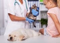 Little girl at the veterinary with her sleeping puppy dog