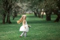 Little girl is walking in an apple garden Royalty Free Stock Photo