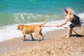 Little girl walking on the beach with a dog Royalty Free Stock Photo