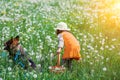 Little girl walking with the dog on the meadow Royalty Free Stock Photo