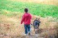 Little girl walking with dog in the field Royalty Free Stock Photo