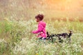 Little girl walking with dog Royalty Free Stock Photo