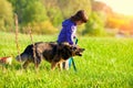 Little girl walking with dog Royalty Free Stock Photo