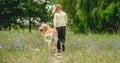 Little girl walking dog on meadow Royalty Free Stock Photo