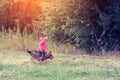 Little girl walking with dog near forest Royalty Free Stock Photo