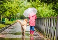 Little girl walking dog under rain Royalty Free Stock Photo