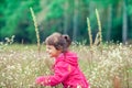 Little girl walking on the flower meadow