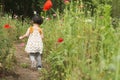 Little girl walking through footpath in field Royalty Free Stock Photo