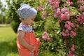 Little girl in walking in the garden, sniffing pink roses.