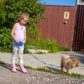 Little girl walking with her ??dog on a leash Royalty Free Stock Photo