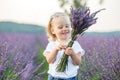 Little girl is walking in lavender field. Smiling kid is holding fragrant bouquet of lavender Royalty Free Stock Photo
