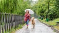 Little girl walking under rain with dog Royalty Free Stock Photo