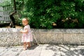 Little girl walks along a tile path near a green magnolia bush