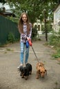 Little girl walks the dogs in the city. Child playing with her dachshund dogs. Pets care, dog sitter