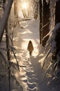 A little girl walks through the snow in the winter forest