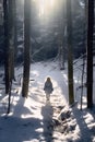 A little girl walks through the snow in the winter forest