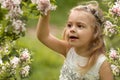 Little girl walks in the spring botanical garden where lilac blossoms Royalty Free Stock Photo