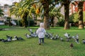 Little girl walks towards a flock of pigeons across a green lawn. Back view Royalty Free Stock Photo