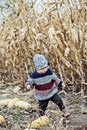 little girl in warm sweater stands by unripe cabbage and picks cabbage leaves. child helps to harvest