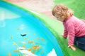 Little girl watching colorful Koi or carps fish in the pond, pet.