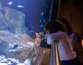 Little girl watching fishes in a large aquarium Royalty Free Stock Photo