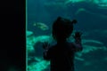 Little girl watching fishes in a large aquarium in the Oceanopolis, Brest, France 31 May 2108 Royalty Free Stock Photo