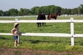 Little girl watching horses in corral Royalty Free Stock Photo