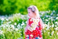 Little girl with water can in a daisy flower field. Royalty Free Stock Photo