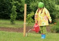 Little girl watering apple tree Royalty Free Stock Photo