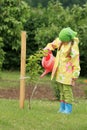 Little girl watering apple tree