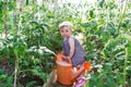 Little girl with watering can is among green plants in a garden Royalty Free Stock Photo